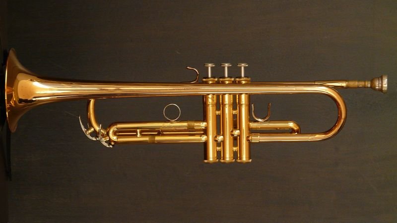 trumpet