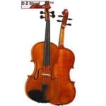 D Z Strad Violin Model 101 Review