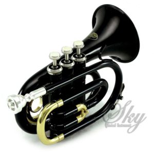 Sky Band Approved Brass Bb Pocket Trumpet