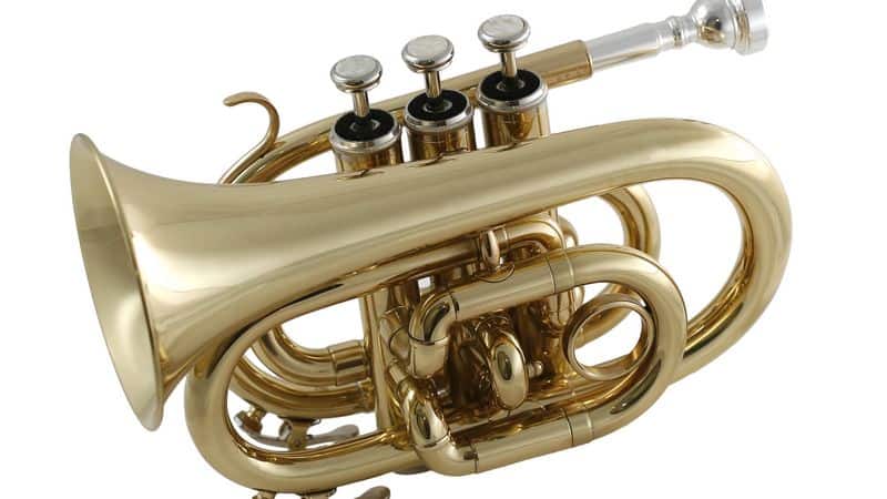 a pocket trumpet