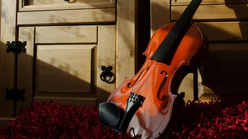 A polished violin