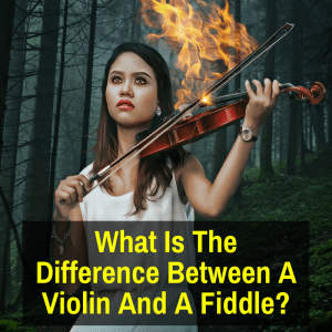 Different woman playing fiddle or violin