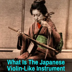 Japanese instrument like a violin