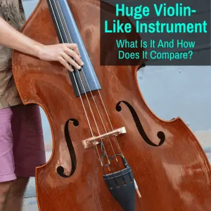 large violin-like instrument