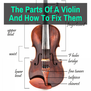 parts of a violin