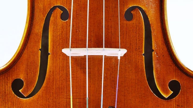 F holes of a violin