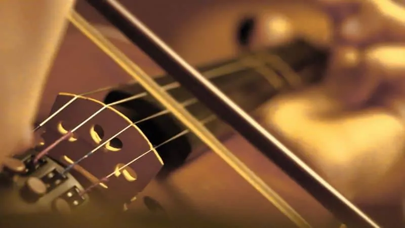 Closeup of violin strings and bow