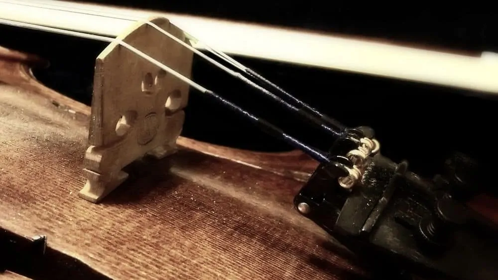 how to put a mute on a violin