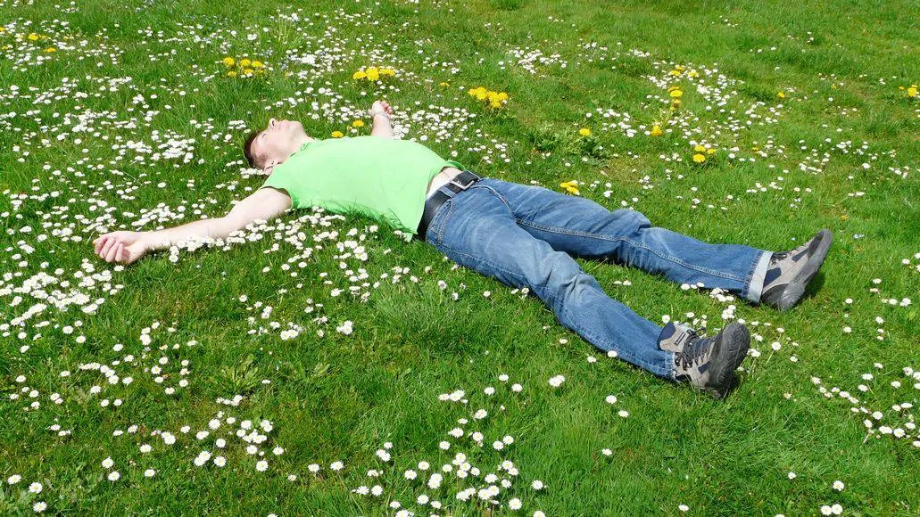 Man resting in field