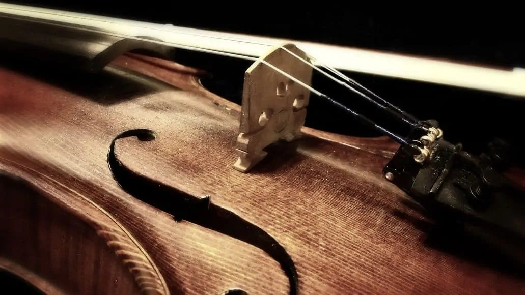 Violin strings on the bridge