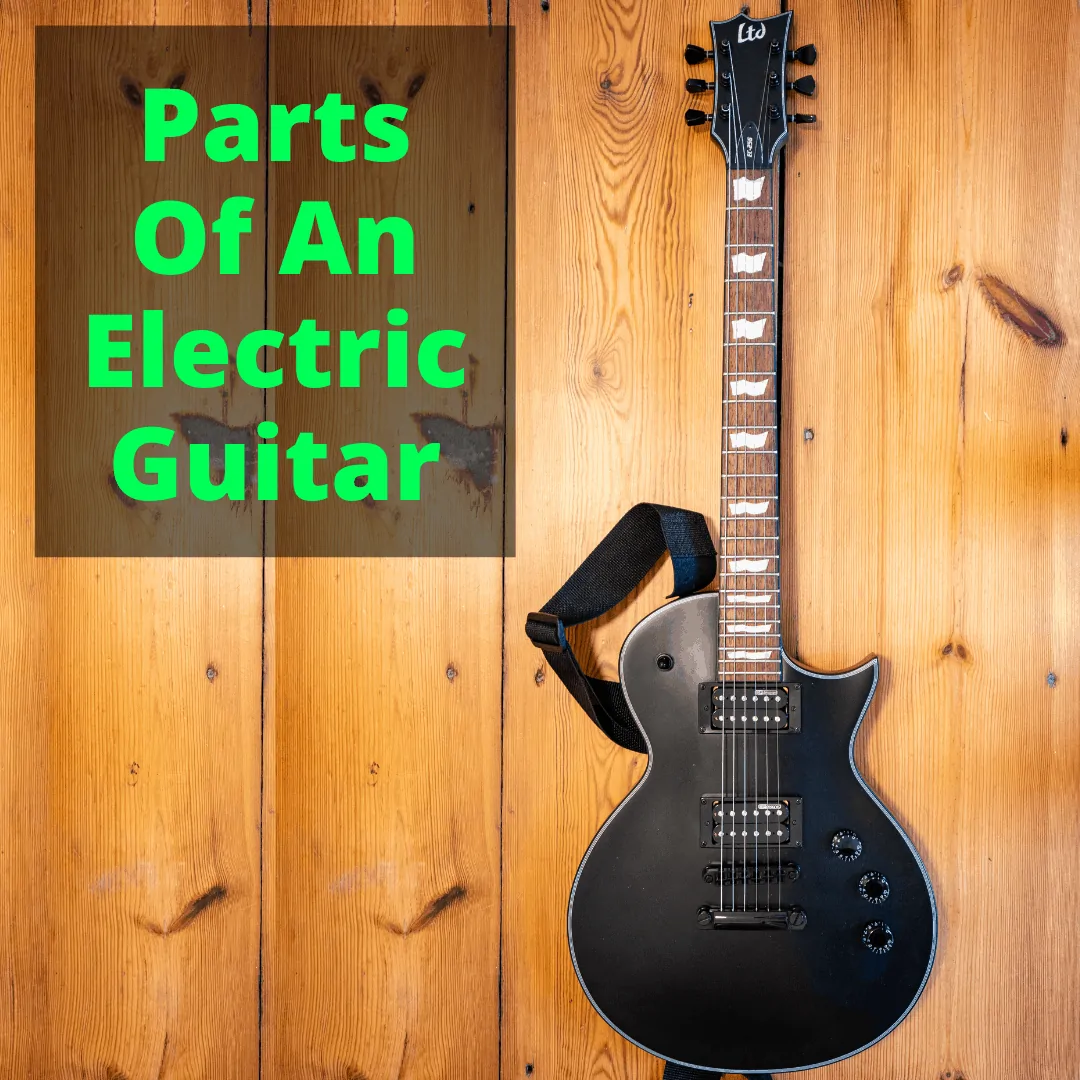Parts Of An Electric Guitar