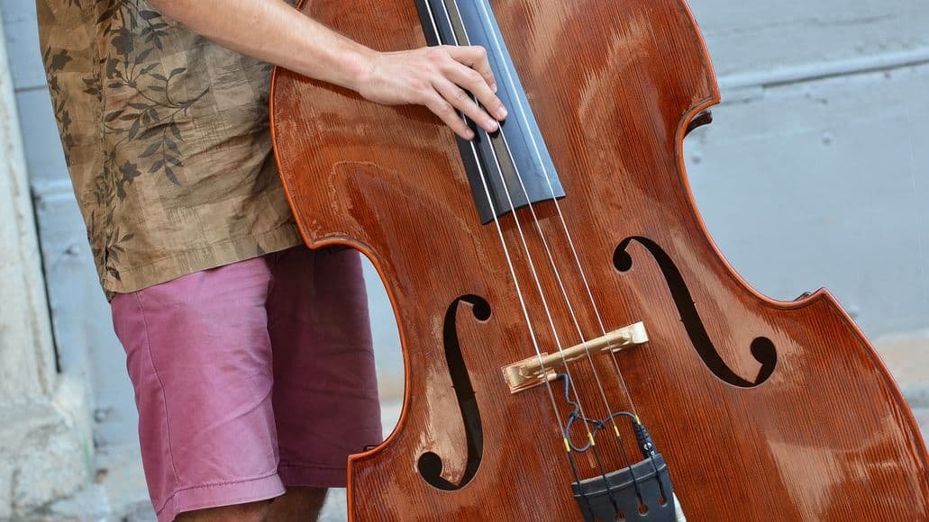 double bass