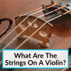 What Are The Strings On A Violin