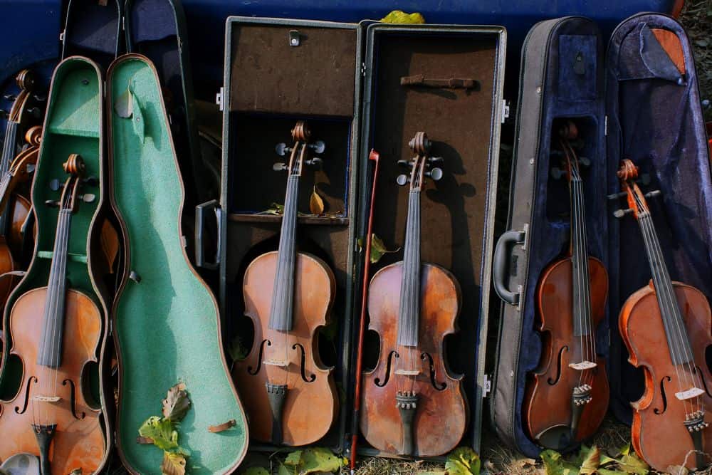 different types of violin cases