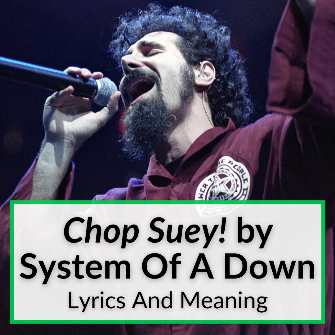chop suey lyrics meaning