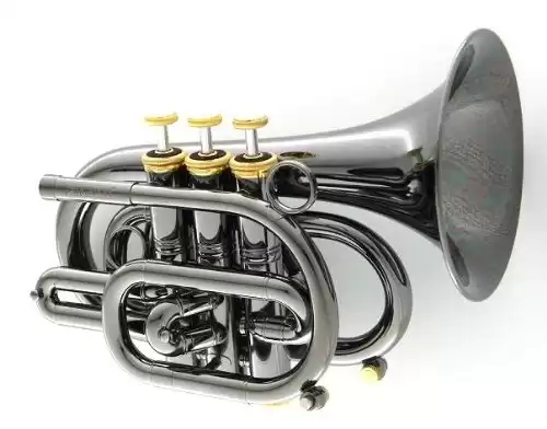Carol CPT-3000-GLS Bb "BlackHawk" Pocket Trumpet