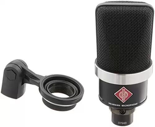 Neumann TLM 102 MT Vocal Condenser Microphone