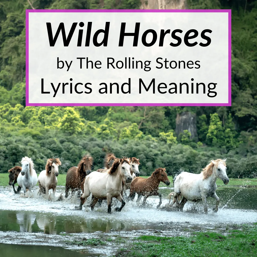 Wild Horses Lyrics Meaning
