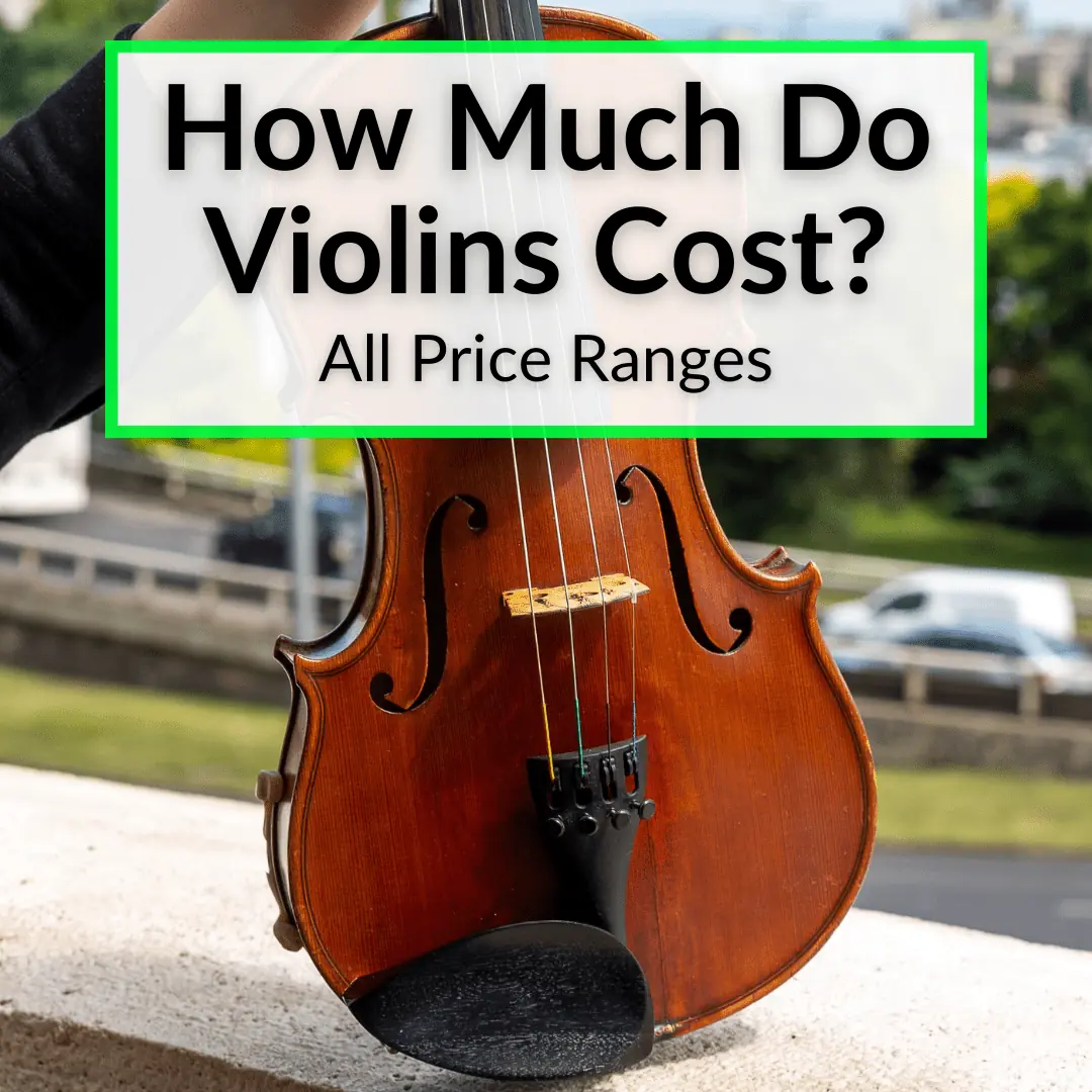 How Much Do Violins Cost