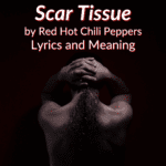 Scar Tissue Lyrics Meaning