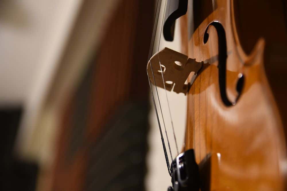 strings on violin