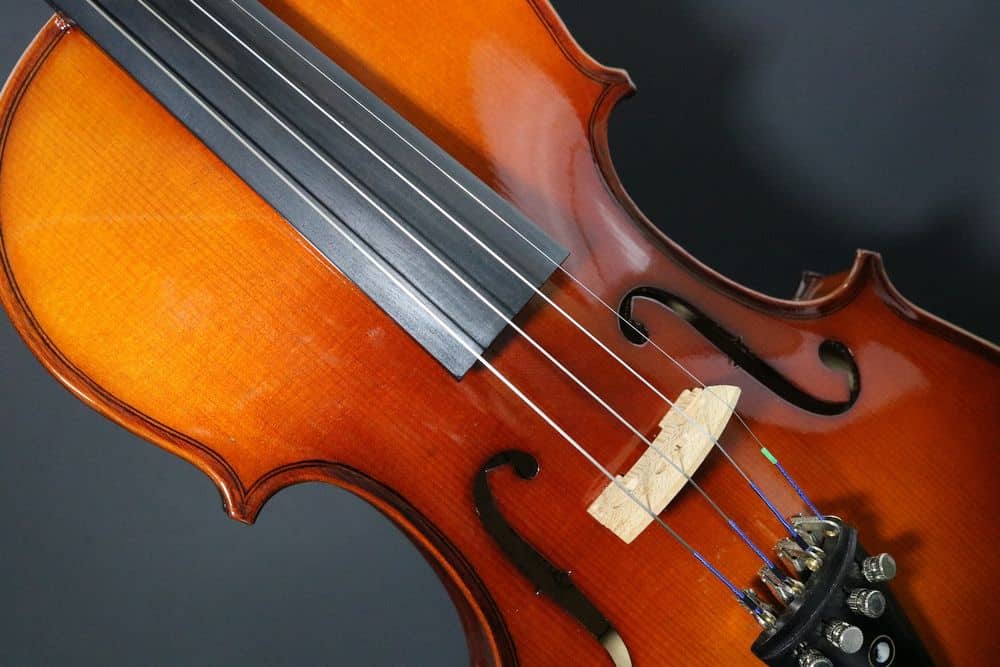 violin string material