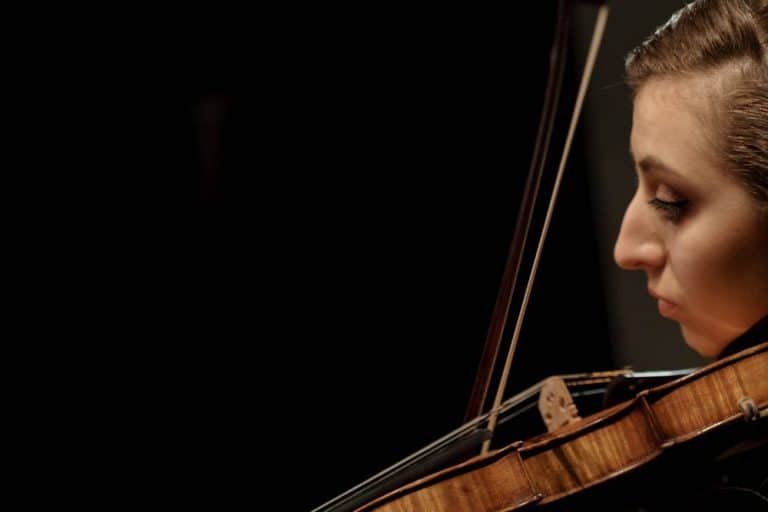 How Much Does A Violin Bow Cost? (All Factors You Need To Know)