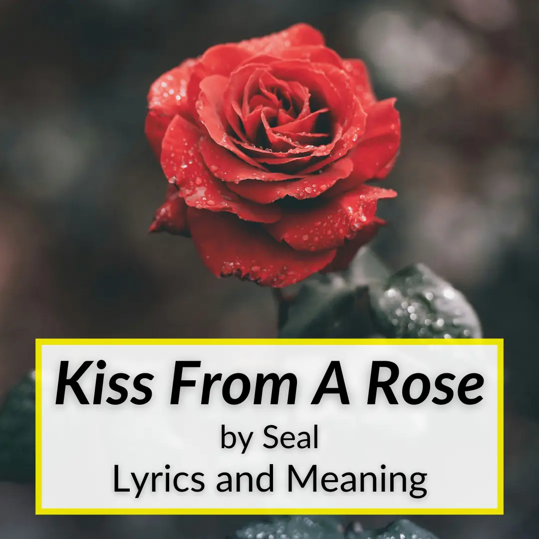 Kiss From A Rose Lyrics Meaning