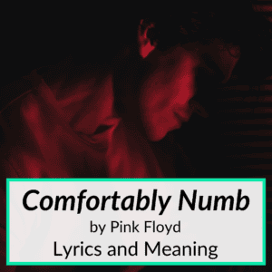 "Comfortably Numb" Lyrics & Meaning (Pink Floyd)