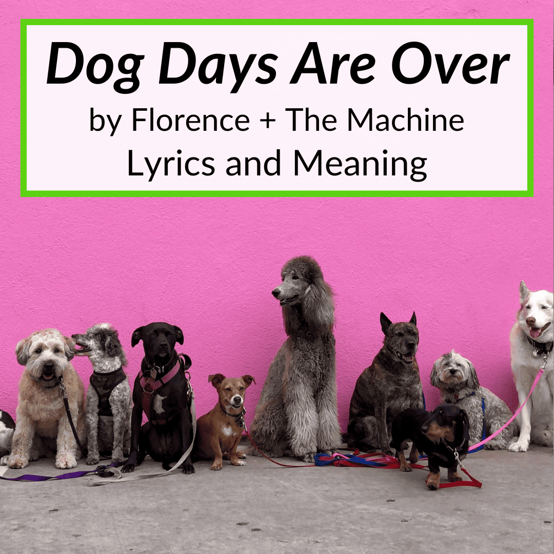 Dog Days Are Over lyrics meaning