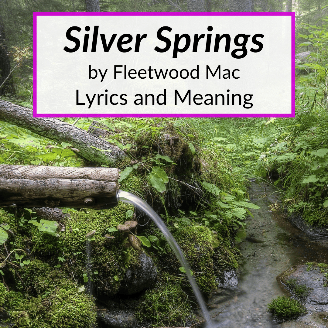 Silver Springs lyrics meaning