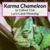 Karma Chameleon lyrics meaning