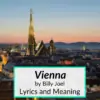 Vienna lyrics meaning
