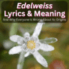 Edelweiss Lyrics Meaning